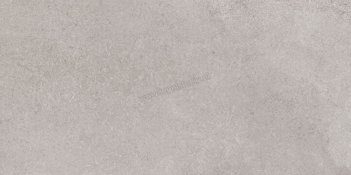  Ragno Creek Grigio 30x60 cm Vloertegel / Wandtegel Mat Vlak Naturale R4HL | 381094