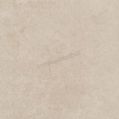  Ragno Creek Avorio 60x60 cm Vloertegel / Wandtegel Mat Vlak Naturale R4EG | 381109