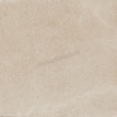  Ragno Creek Avorio 60x60 cm Vloertegel / Wandtegel Mat Vlak Naturale R4EG | 381112