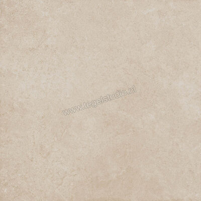  Ragno Creek Avorio 60x60 cm Vloertegel / Wandtegel Mat Vlak Naturale R4EG | 381115