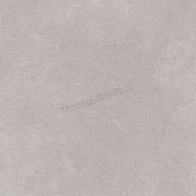  Ragno Creek Grigio 60x60 cm Vloertegel / Wandtegel Mat Vlak Naturale R4EE | 381127