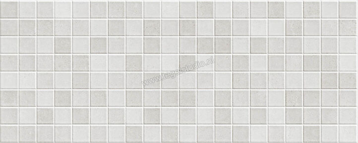  Ragno Creek Grigio 20x50 cm Wandtegel Mosaico Mat Vlak Naturale R3RK | 381148