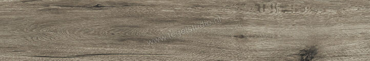 Novabell Eiche Timber 20x120 cm Vloertegel / Wandtegel Mat Gestructureerd Naturale ECH61RT | 38185