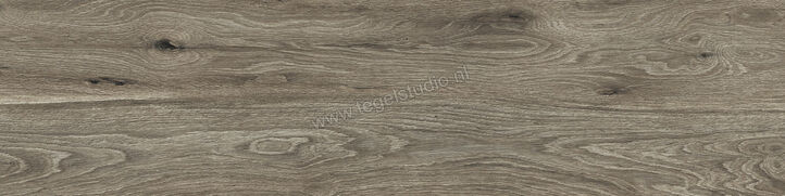 Novabell Eiche Timber 30x120 cm Vloertegel / Wandtegel Mat Gestructureerd Naturale ECH63RT | 38188