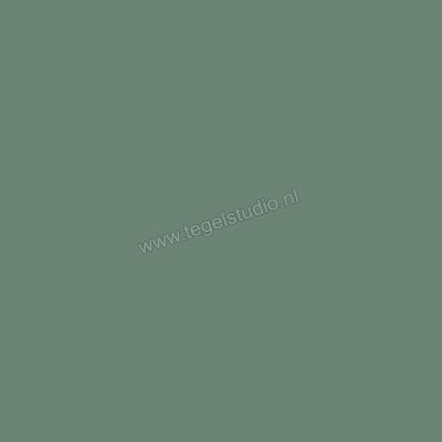  Ragno Unitech Smeraldo 20x20 cm Vloertegel / Wandtegel Mat Vlak Naturale R1NW | 382171