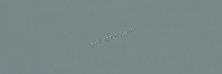  Ragno Vida Azzurro 30x90 cm Wandtegel Mat Vlak Naturale RA6G | 382279