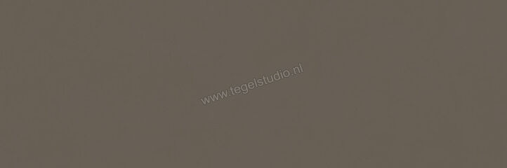  Ragno Vida Fango 30x90 cm Wandtegel Mat Vlak Naturale RA6F | 382282