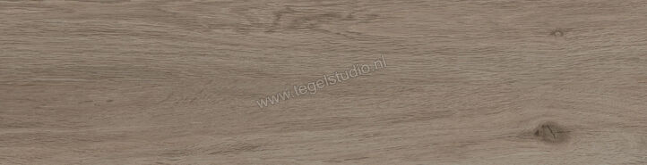  Ragno Key Taupe 15.5x60 cm Vloertegel / Wandtegel Mat Vlak Naturale RA3P | 382444