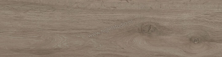  Ragno Key Taupe 15.5x60 cm Vloertegel / Wandtegel Mat Vlak Naturale RA3P | 382450
