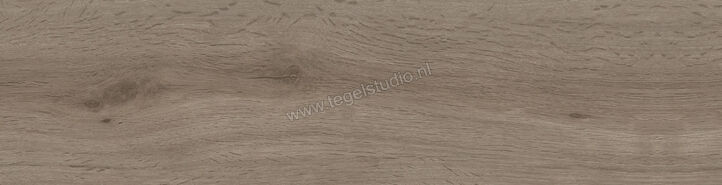  Ragno Key Taupe 15.5x60 cm Vloertegel / Wandtegel Mat Vlak Naturale RA3P | 382459