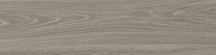  Ragno Key Grey 15.5x60 cm Vloertegel / Wandtegel Mat Vlak Naturale RA3Q | 382468