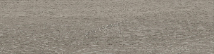  Ragno Key Grey 15.5x60 cm Vloertegel / Wandtegel Mat Vlak Naturale RA3Q | 382483
