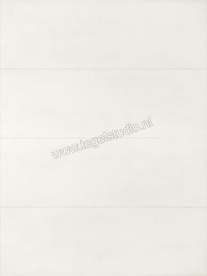  Ragno Lucida Ice 30x90 cm Wandtegel Glanzend Vlak Naturale RCR7 | 382546