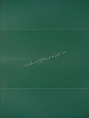  Ragno Lucida Forest 30x90 cm Wandtegel Glanzend Vlak Naturale RCR8 | 382552