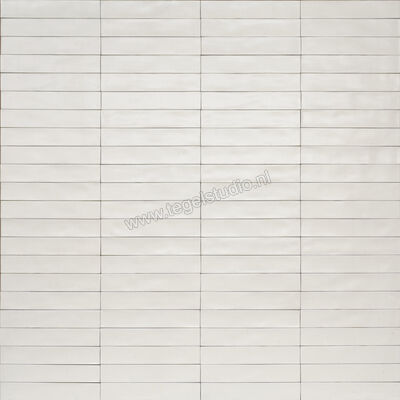  Ragno Wish White 5.3x30 cm Wandtegel Mat Gestructureerd Semimatt RCGA | 382663