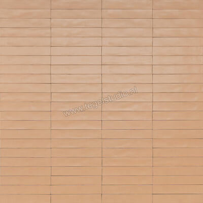  Ragno Wish Petal 5.3x30 cm Wandtegel Mat Gestructureerd Semimatt RCGC | 382669