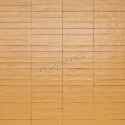  Ragno Wish Yellow 5.3x30 cm Wandtegel Mat Gestructureerd Semimatt RCGD | 382672