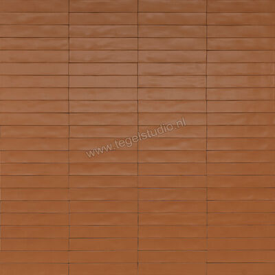  Ragno Wish Brick 5.3x30 cm Wandtegel Mat Gestructureerd Semimatt RCGE | 382678