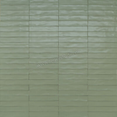  Ragno Wish Green 5.3x30 cm Wandtegel Mat Gestructureerd Semimatt RCGF | 382687