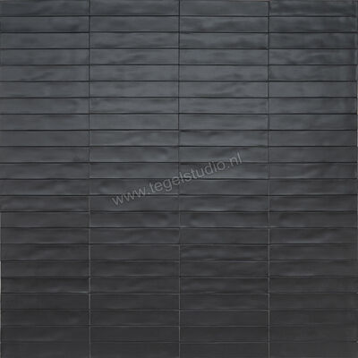  Ragno Wish Black 5.3x30 cm Wandtegel Mat Gestructureerd Semimatt RCGH | 382699