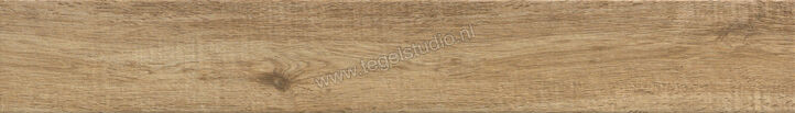  Ragno Woodglam Naturale 10x70 cm Vloertegel / Wandtegel Mat Vlak Naturale R06P | 382726