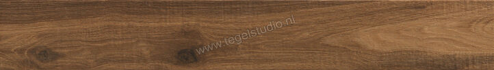  Ragno Woodglam Noce 10x70 cm Vloertegel / Wandtegel Mat Vlak Naturale R06R | 382732