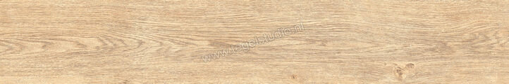  Ragno Inedito Avorio 20x120 cm Vloertegel / Wandtegel Mat Gestructureerd Naturale RADT | 382861