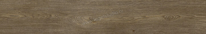  Ragno Inedito Cenere 20x120 cm Vloertegel / Wandtegel Mat Gestructureerd Naturale RADZ | 382924