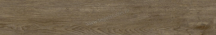  Ragno Inedito Cenere 20x120 cm Vloertegel / Wandtegel Mat Gestructureerd Naturale RADZ | 382930