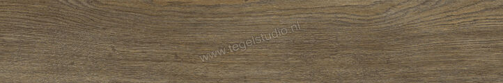  Ragno Inedito Cenere 20x120 cm Vloertegel / Wandtegel Mat Gestructureerd Naturale RADZ | 382939