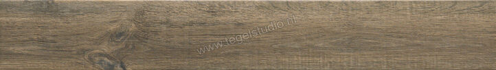  Ragno Woodglam Grigio 10x70 cm Vloertegel / Wandtegel Mat Vlak Naturale R06N | 383116