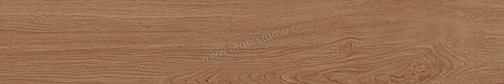  Ragno Woodpassion Brown 15x90 cm Vloertegel / Wandtegel Mat Vlak Naturale R44M | 383425