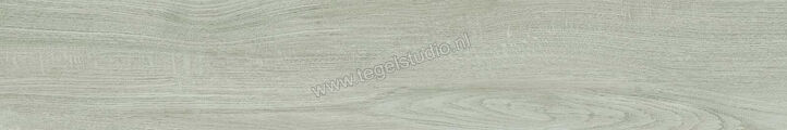  Ragno Woodpassion Ice 15x90 cm Vloertegel / Wandtegel Mat Vlak Naturale R44Q | 383434