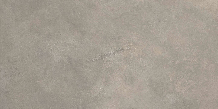  Ragno Stratford Grey 60x120 cm Vloertegel / Wandtegel Mat Vlak Naturale R8VN | 384094