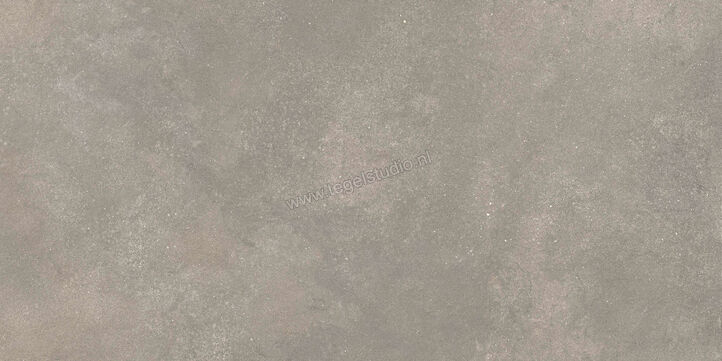  Ragno Stratford Grey 60x120 cm Vloertegel / Wandtegel Mat Vlak Naturale R8VN | 384097