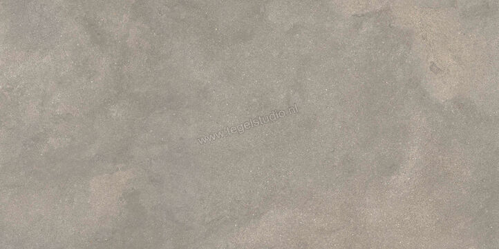  Ragno Stratford Grey 60x120 cm Vloertegel / Wandtegel Mat Vlak Naturale R8VN | 384100