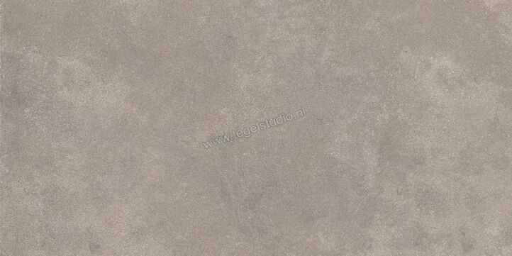 Ragno Stratford Grey 60x120 cm Vloertegel / Wandtegel Mat Vlak Naturale R8VN | 384103