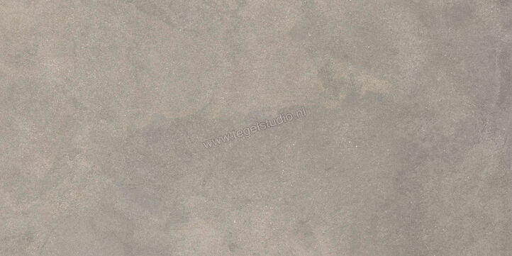  Ragno Stratford Grey 60x120 cm Vloertegel / Wandtegel Mat Vlak Naturale R8VN | 384106