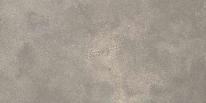  Ragno Stratford Grey 60x120 cm Vloertegel / Wandtegel Mat Vlak Naturale R8VN | 384109