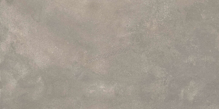  Ragno Stratford Grey 60x120 cm Vloertegel / Wandtegel Mat Vlak Naturale R8VN | 384112