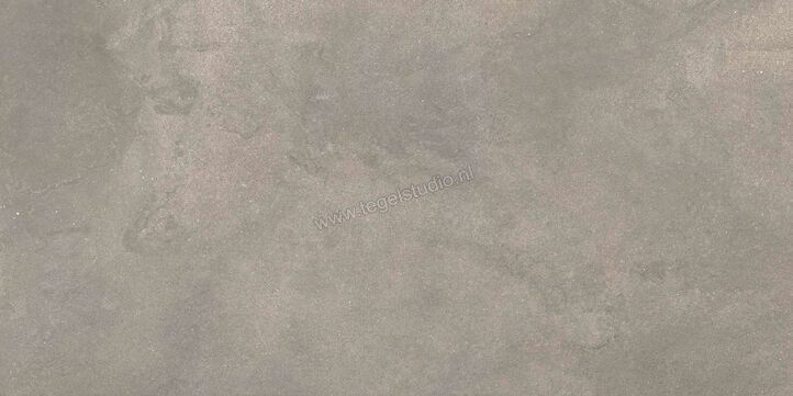 Ragno Stratford Grey 60x120 cm Vloertegel / Wandtegel Mat Vlak Naturale R8VN | 384115