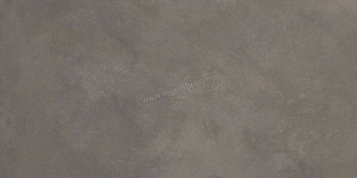  Ragno Stratford Dark Grey 60x120 cm Vloertegel / Wandtegel Mat Vlak Naturale R8VP | 384118