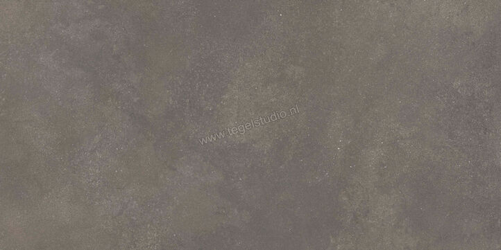  Ragno Stratford Dark Grey 60x120 cm Vloertegel / Wandtegel Mat Vlak Naturale R8VP | 384121