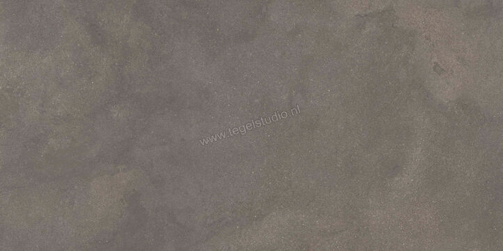  Ragno Stratford Dark Grey 60x120 cm Vloertegel / Wandtegel Mat Vlak Naturale R8VP | 384124
