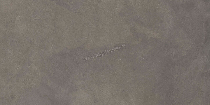  Ragno Stratford Dark Grey 60x120 cm Vloertegel / Wandtegel Mat Vlak Naturale R8VP | 384130