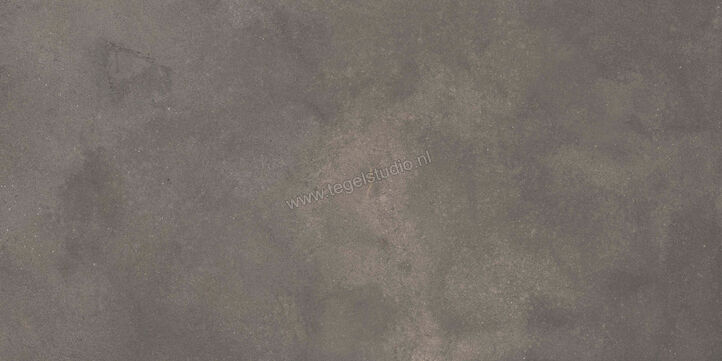 Ragno Stratford Dark Grey 60x120 cm Vloertegel / Wandtegel Mat Vlak Naturale R8VP | 384133
