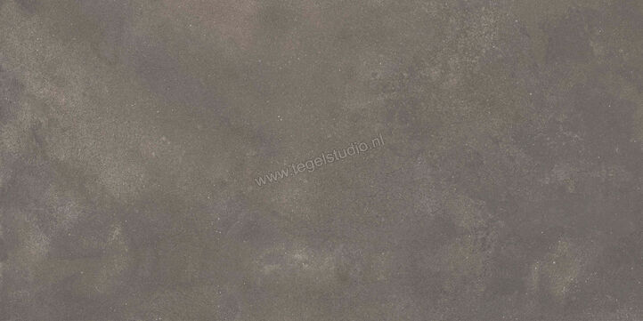  Ragno Stratford Dark Grey 60x120 cm Vloertegel / Wandtegel Mat Vlak Naturale R8VP | 384136