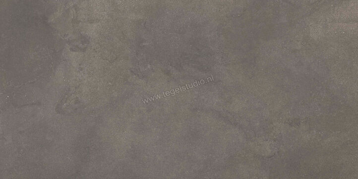  Ragno Stratford Dark Grey 60x120 cm Vloertegel / Wandtegel Mat Vlak Naturale R8VP | 384139