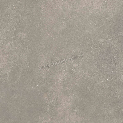  Ragno Stratford Grey 60x60 cm Vloertegel / Wandtegel Mat Vlak Naturale R8WL | 384529