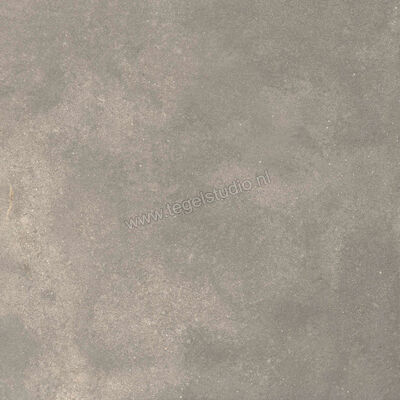  Ragno Stratford Grey 60x60 cm Vloertegel / Wandtegel Mat Vlak Naturale R8WL | 384541
